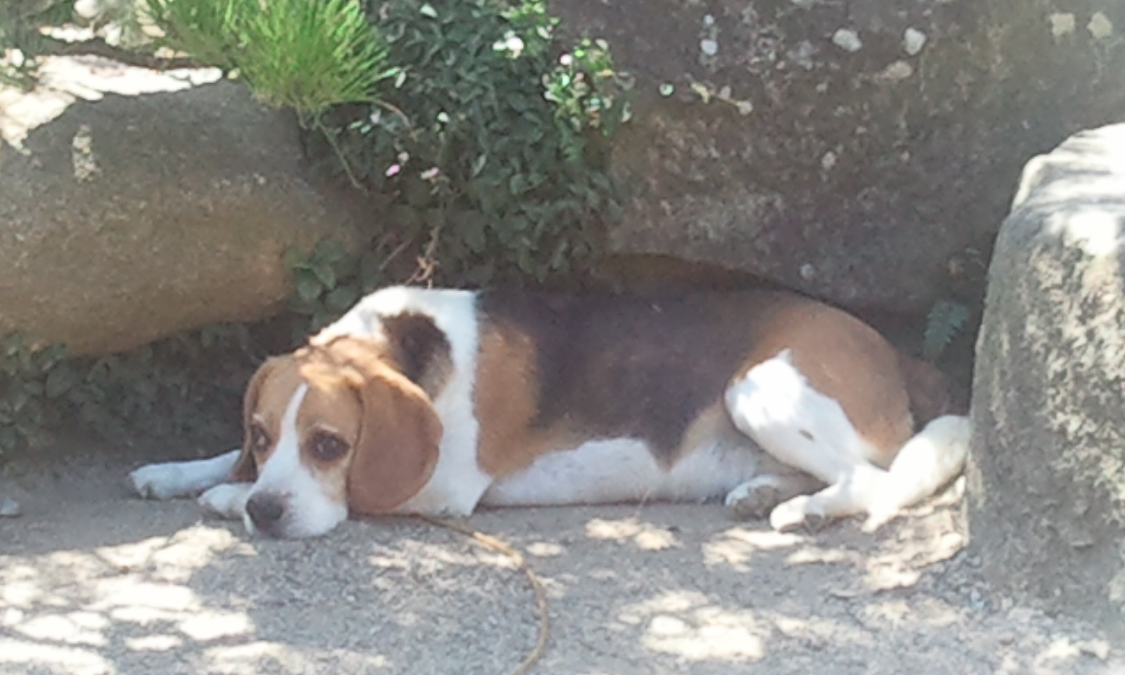 2012-08-04 09.18.14.jpg